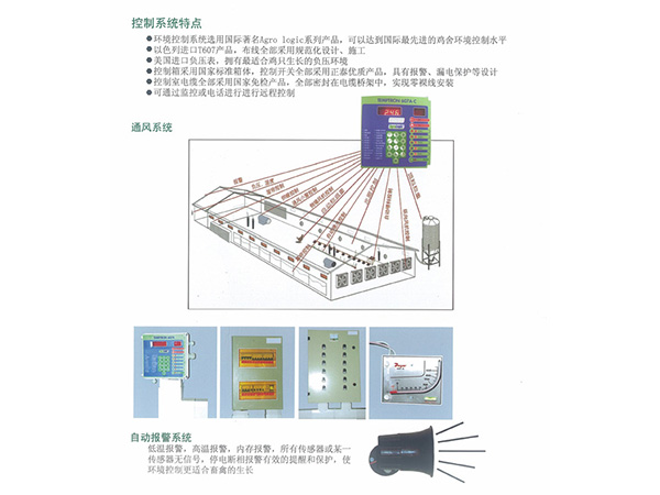 層疊式蛋雞籠養(yǎng)養(yǎng)雞設(shè)備
