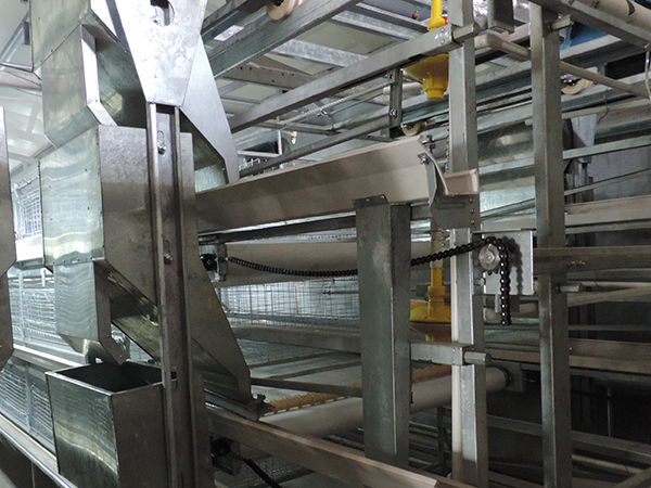 層疊式肉雞設(shè)備